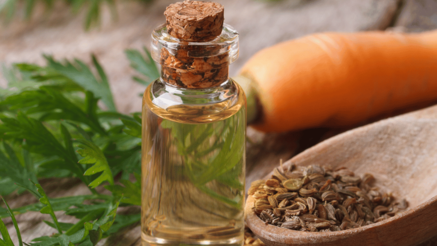 The Glowy Truth About Carrot Seed Oil: Why Your Skincare Routine Should Include This Earthy Elixir